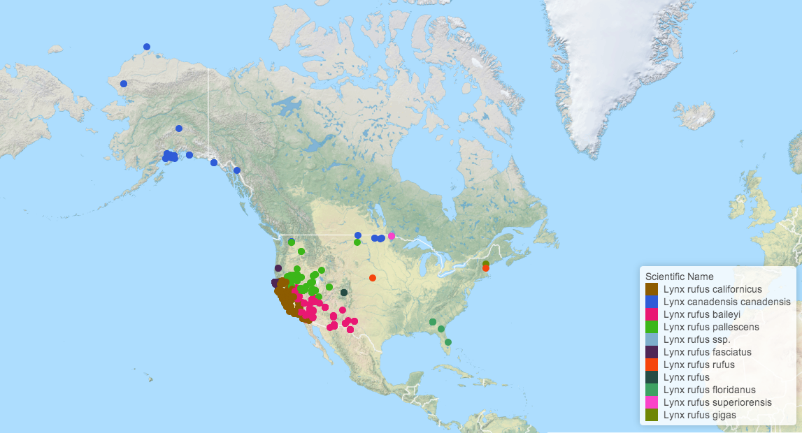 Map of Lynx observations across North America